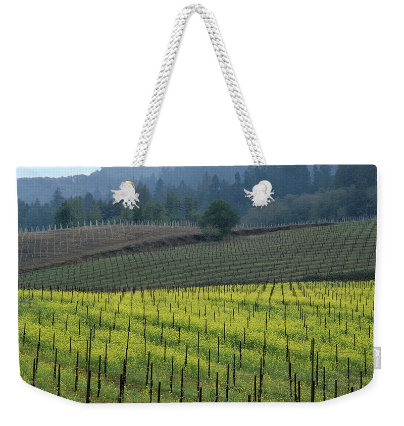 Mustard Weekender Tote Bag featuring the photograph 2B6320 Mustard in Vinyards by Ed Cooper Photography