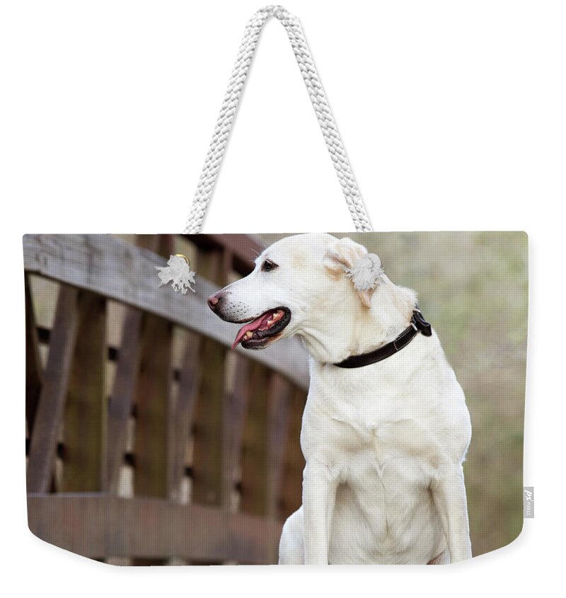  Weekender Tote Bag featuring the photograph 14 #3 by Rebecca Cozart