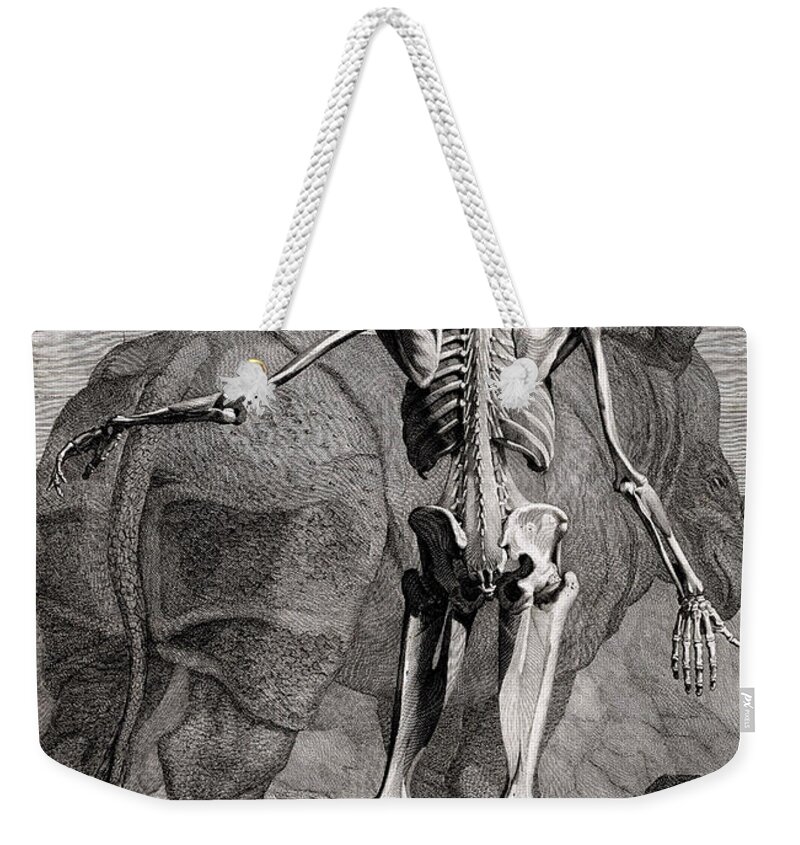 Science Weekender Tote Bag featuring the photograph 18th Century Anatomical Engraving #3 by Science Source
