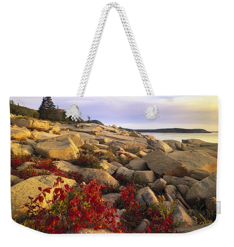 00173701 Weekender Tote Bag featuring the photograph Atlantic Coast Near Thunder Hole Acadia #3 by Tim Fitzharris