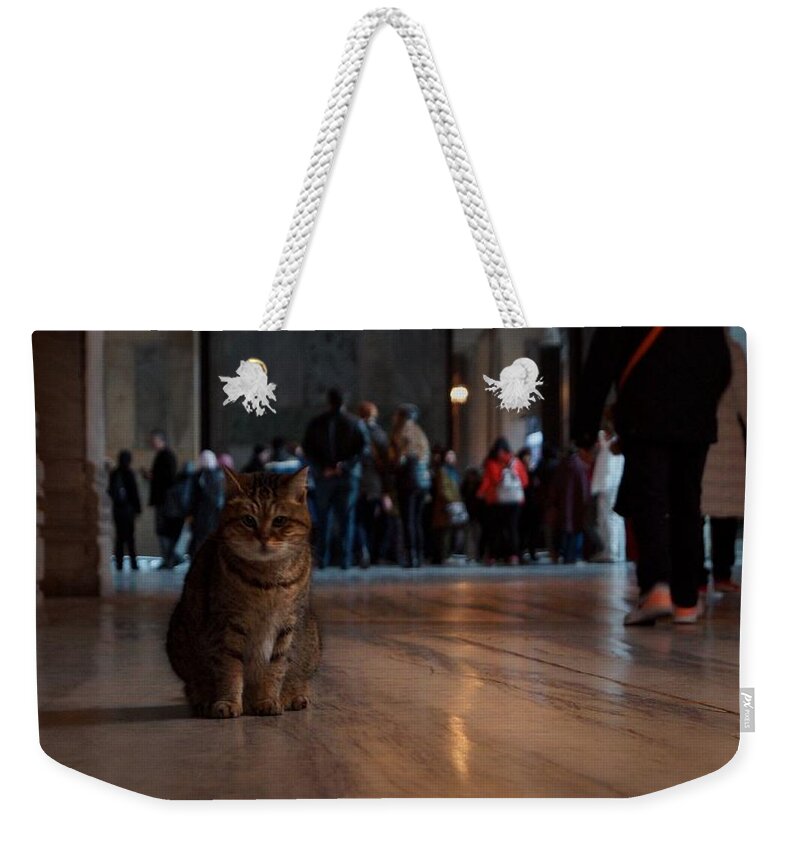 Hagia Weekender Tote Bag featuring the photograph Cat #3 by Takaaki Yoshikawa