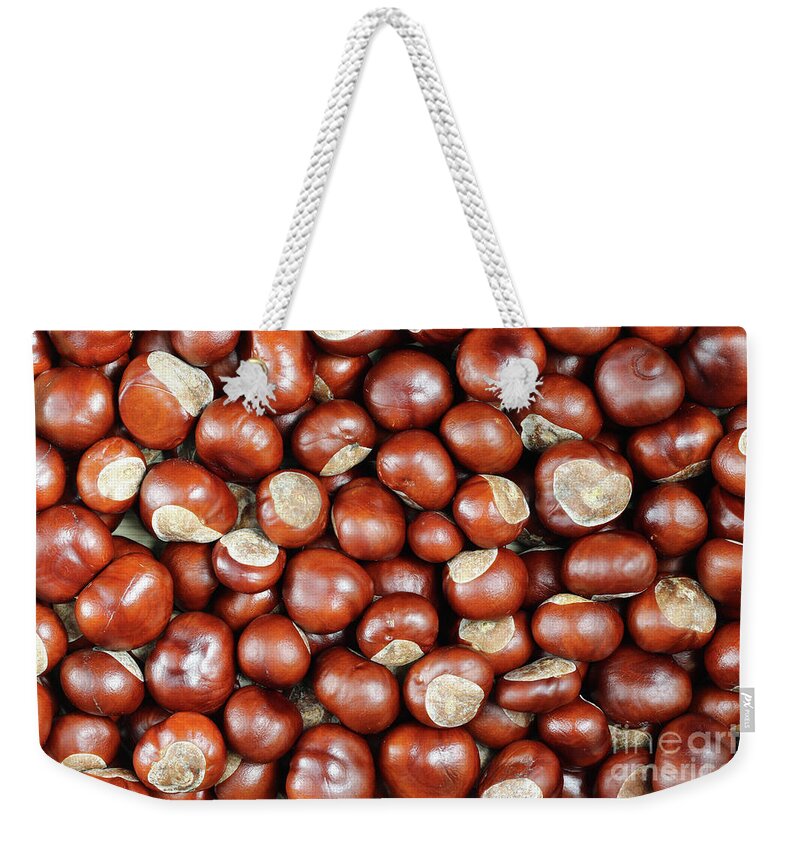 Conker Weekender Tote Bag featuring the photograph Conkers by Michal Boubin