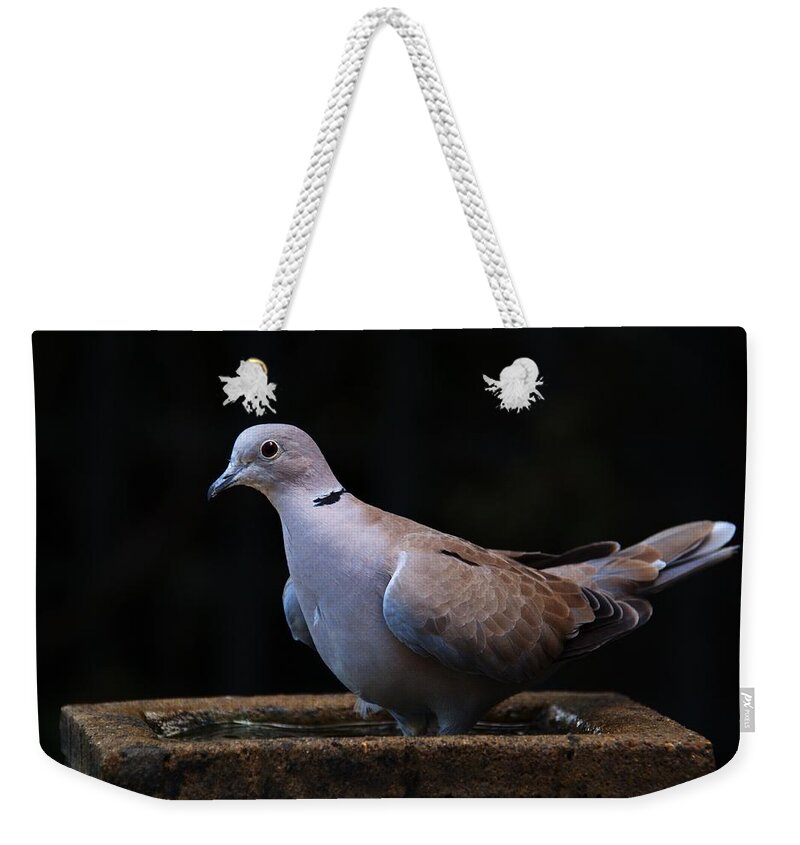 Collared Dove Weekender Tote Bag featuring the photograph Collared Dove #3 by Chris Day