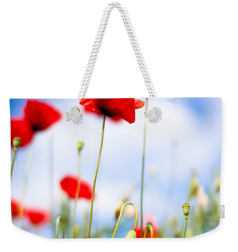 Poppy Weekender Tote Bag featuring the photograph Corn Poppy Flowers #3 by Nailia Schwarz
