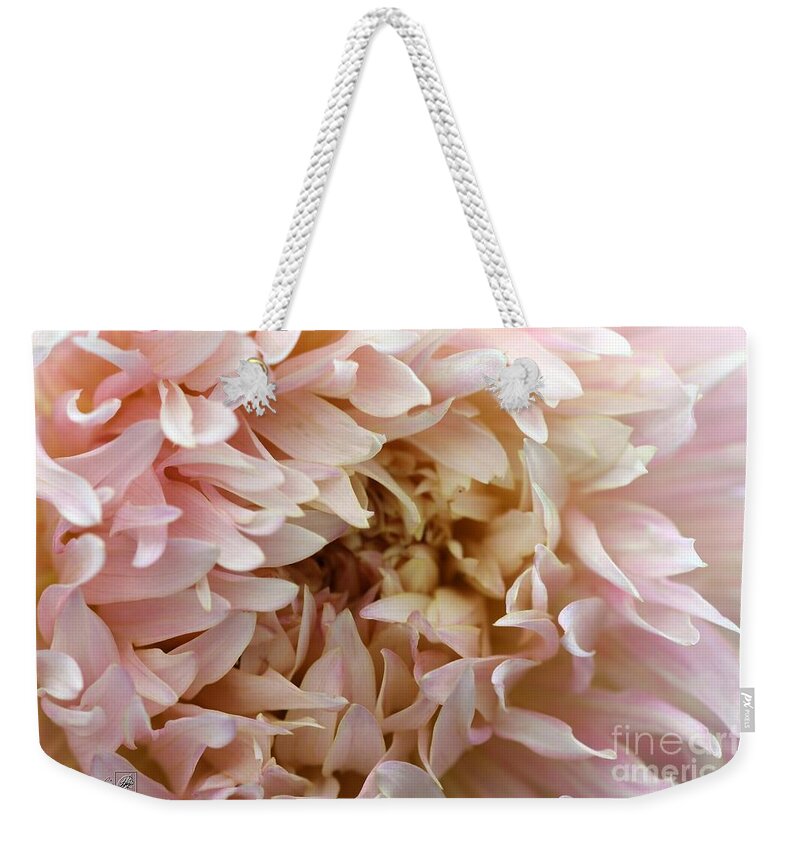Mccombie Weekender Tote Bag featuring the photograph Dahlia named Nadia Ruth #4 by J McCombie