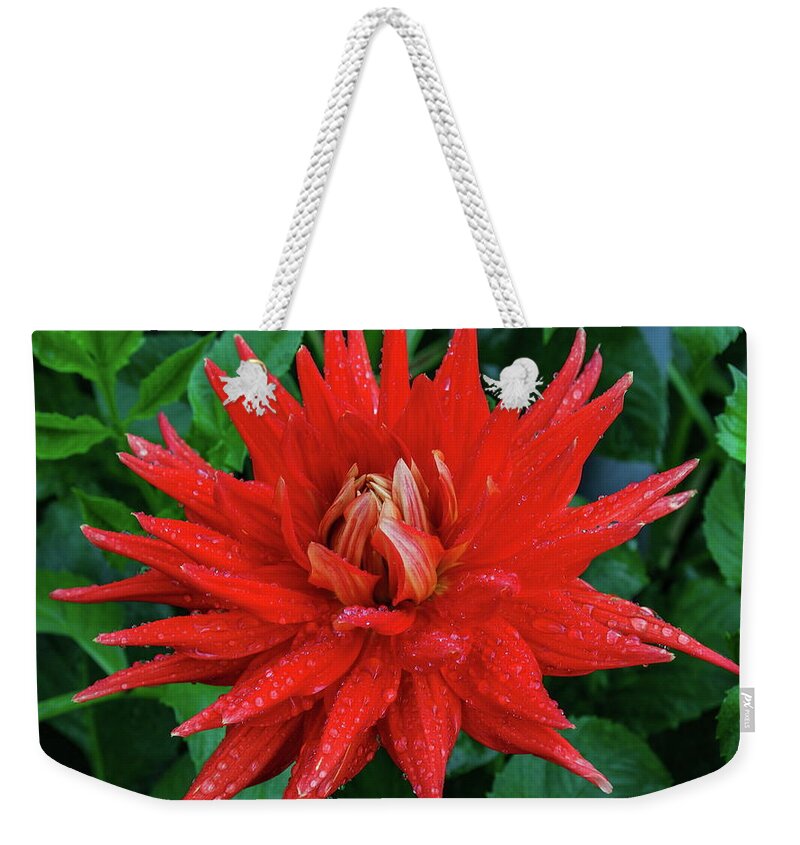 Dahlia Weekender Tote Bag featuring the digital art Dahlia #3 by Super Lovely