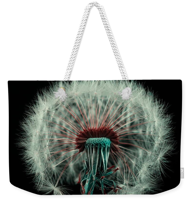 Dandelion Weekender Tote Bag featuring the photograph Dandelion #3 by Mariel Mcmeeking