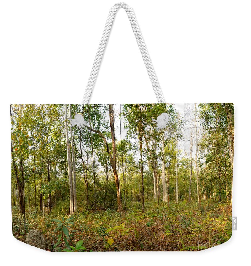 Panorama Weekender Tote Bag featuring the photograph Dry Deciduous Forest, Cambodia #3 by Fletcher & Baylis