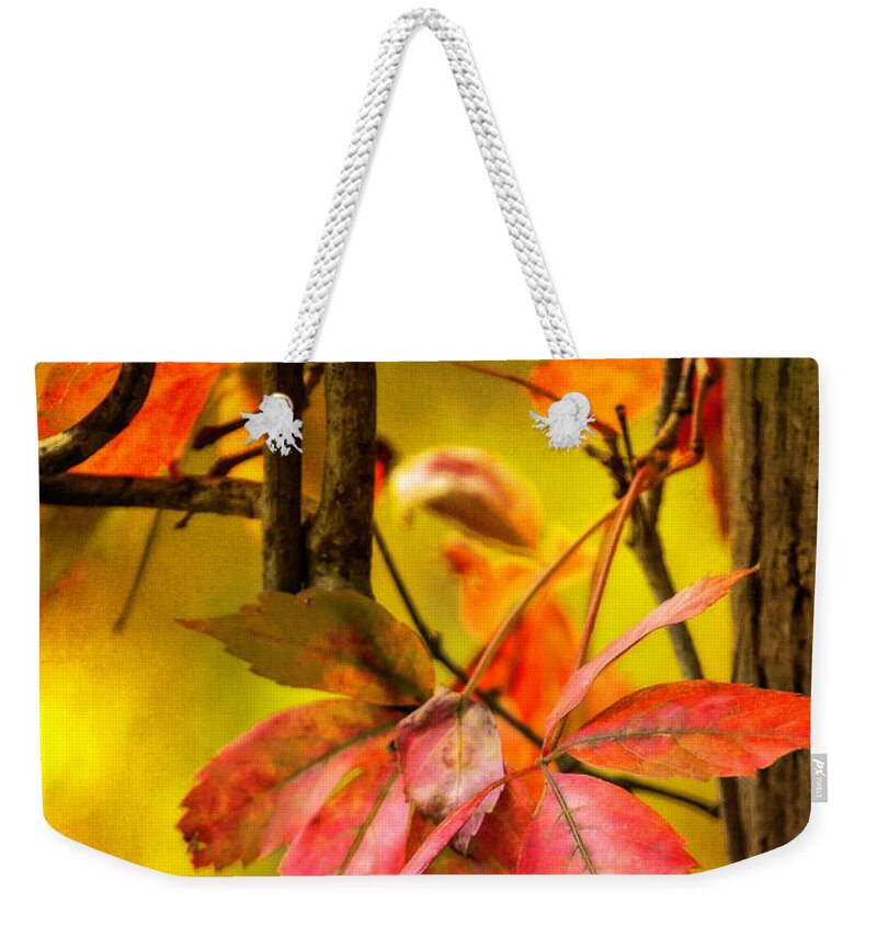 Fall Weekender Tote Bag featuring the photograph Fall colors #3 by Eduard Moldoveanu