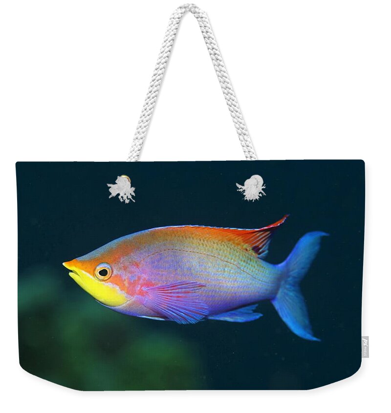 Fish Weekender Tote Bag featuring the digital art Fish #3 by Maye Loeser