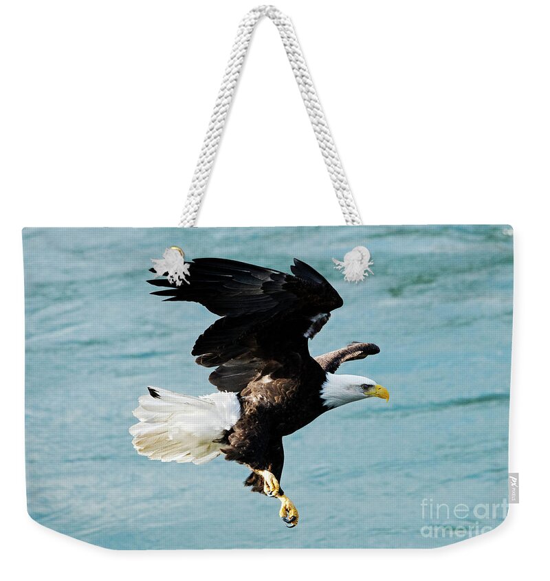 Focus Weekender Tote Bag featuring the photograph Focused #3 by Michael Dawson