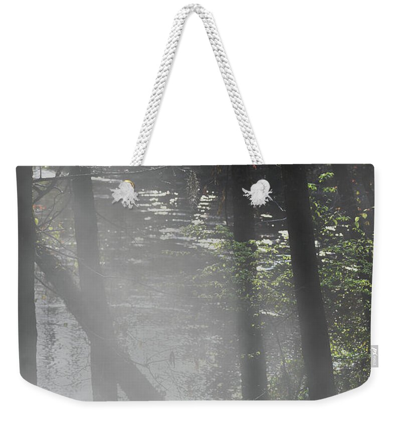 Scenic Tours Weekender Tote Bag featuring the photograph Forest Primeval #3 by Skip Willits