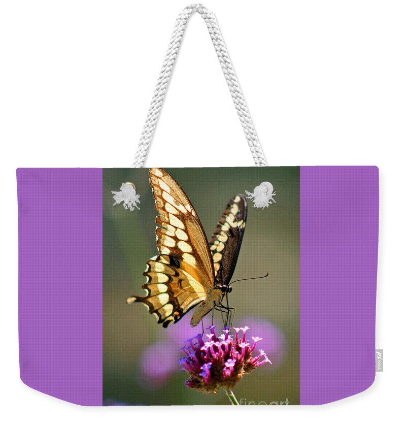 Giant Weekender Tote Bag featuring the photograph Giant Swallowtail Butterfly #4 by Karen Adams