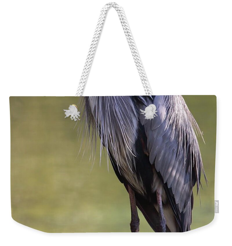 Great Blue Heron Weekender Tote Bag featuring the photograph Great Blue Heron #3 by Bruce J Robinson