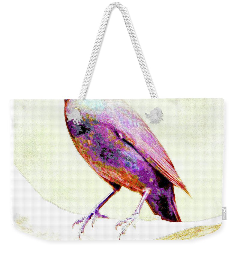 Great-tailed Grackle Weekender Tote Bag featuring the photograph Great-tailed Grackle #3 by A Macarthur Gurmankin