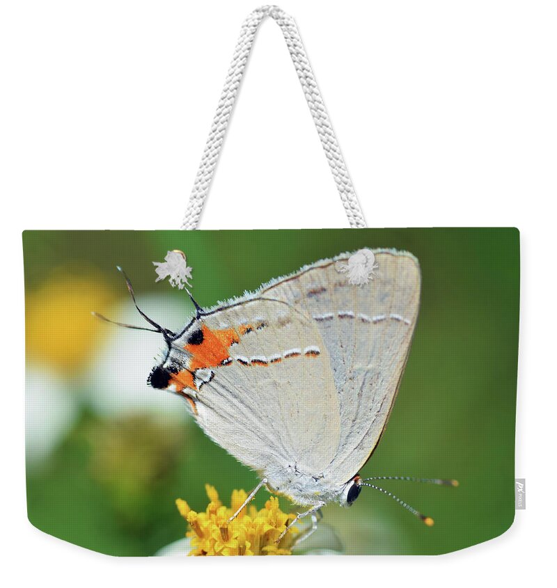 Photograph Weekender Tote Bag featuring the photograph Hairstreak #3 by Larah McElroy