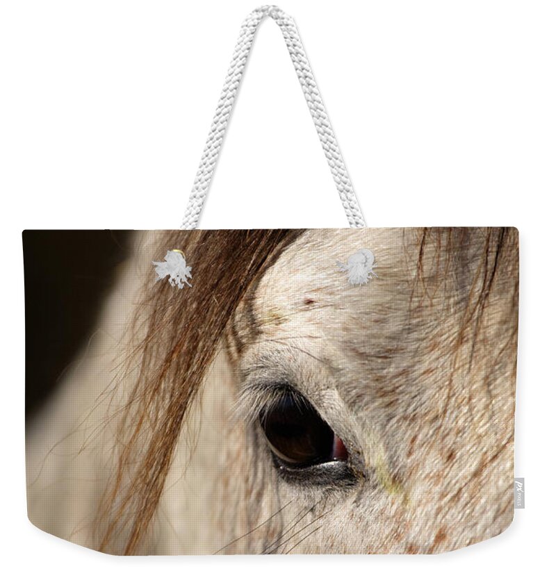 Horse Weekender Tote Bag featuring the photograph Horse portrait #3 by Ian Middleton