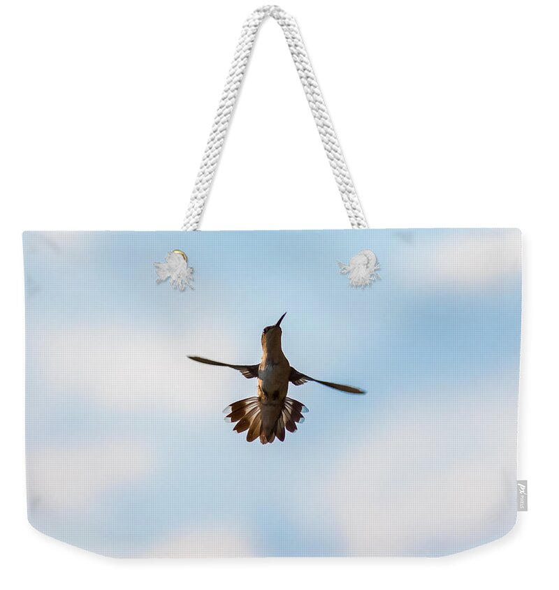 Hummingbird Weekender Tote Bag featuring the photograph Hummingbird by Holden The Moment