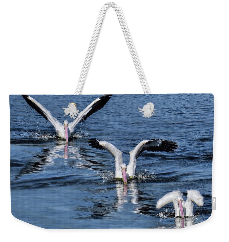 American White Pelican Weekender Tote Bag featuring the photograph 3 Is Company by Jennie Breeze