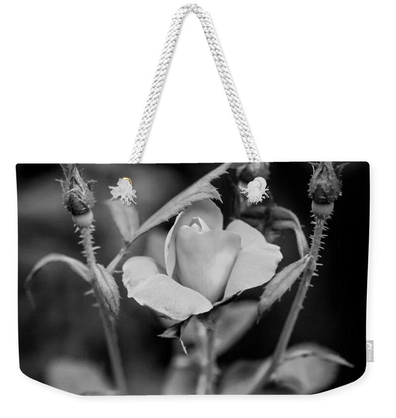 Roses Weekender Tote Bag featuring the photograph Knockout Roses Painted BW #3 by Rich Franco