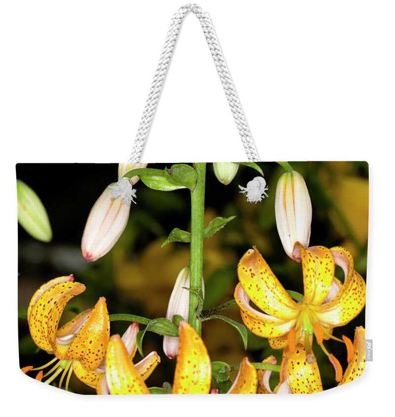 Martagon Lily Weekender Tote Bag featuring the photograph Martagon Lily #3 by Anthony Totah