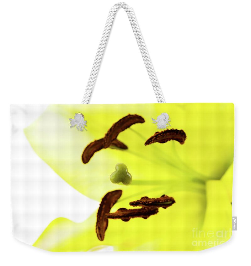 Abstract Weekender Tote Bag featuring the photograph Oriental Lily Flower by Raul Rodriguez