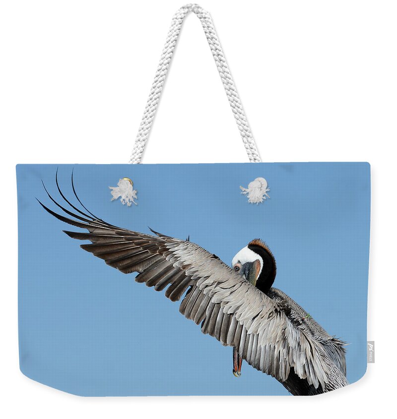Brown Pelican Weekender Tote Bag featuring the photograph Peeking Through #3 by Fraida Gutovich