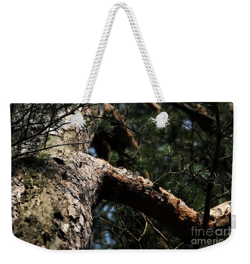 Forest Weekender Tote Bag featuring the photograph Pine Tree #7 by Dariusz Gudowicz