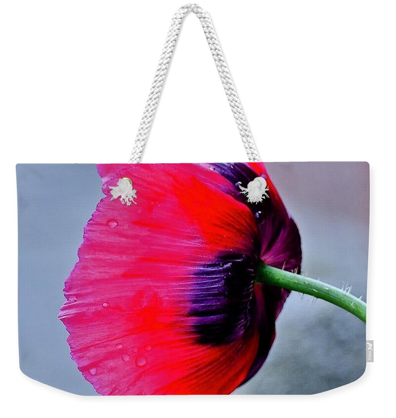 Poppy Weekender Tote Bag featuring the photograph Poppy #3 by Elisabeth Derichs