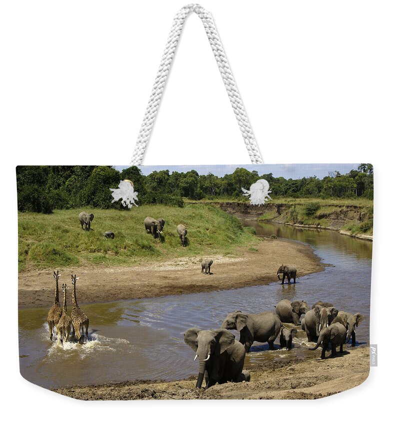 Africa Weekender Tote Bag featuring the photograph River Crossing #3 by Michele Burgess