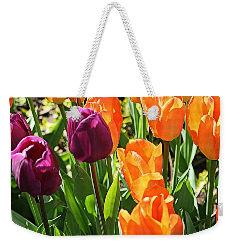 Tulips Weekender Tote Bag featuring the photograph The Tulip Garden #1 by Dora Sofia Caputo