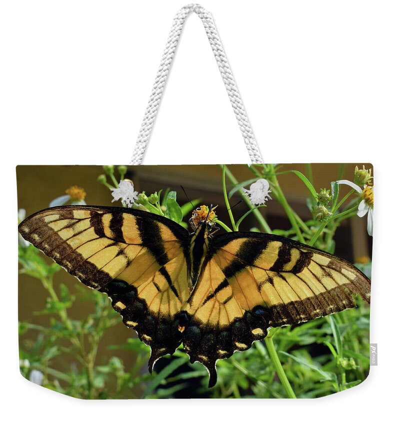 Photograph Weekender Tote Bag featuring the photograph Tiger Swallowtail #3 by Larah McElroy