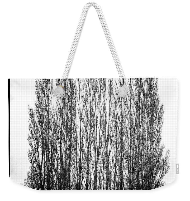 Trees Weekender Tote Bag featuring the photograph Untitled #4 by John Greco