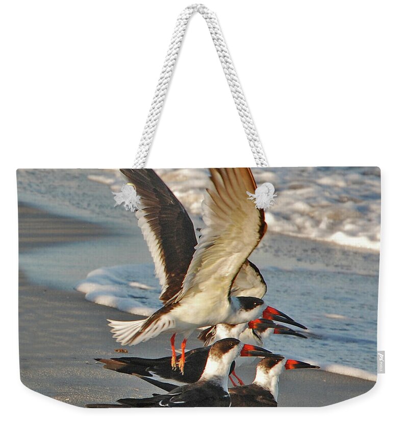 Black Skimmers Weekender Tote Bag featuring the photograph 3- Upward and Onward by Joseph Keane