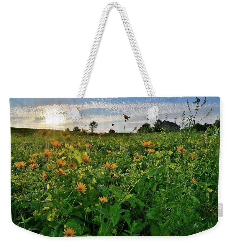 Glacial Park Weekender Tote Bag featuring the photograph Wildflowers of Glacial Park #3 by Ray Mathis