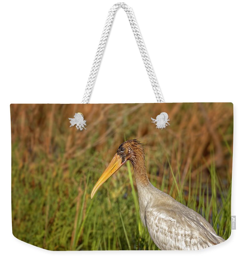 Big Talbot Island Weekender Tote Bag featuring the photograph Wood Stork #3 by Peter Lakomy