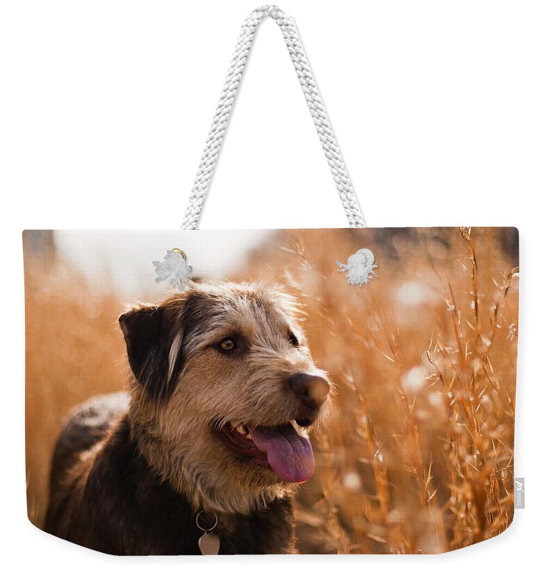 Dog Weekender Tote Bag featuring the digital art Dog #30 by Super Lovely