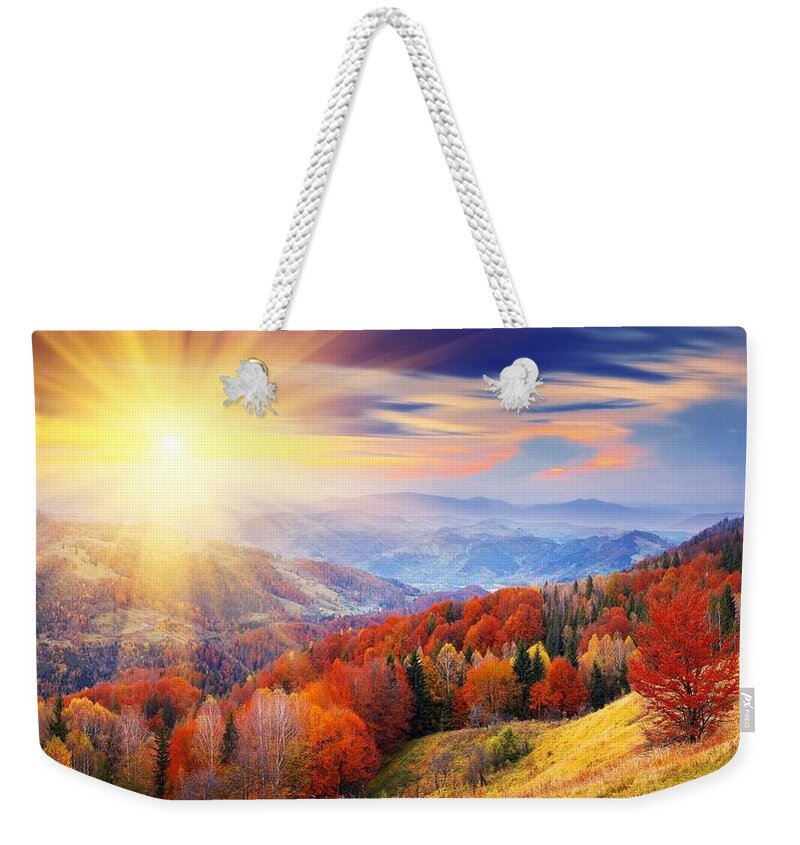Fall Weekender Tote Bag featuring the photograph Fall #30 by Mariel Mcmeeking