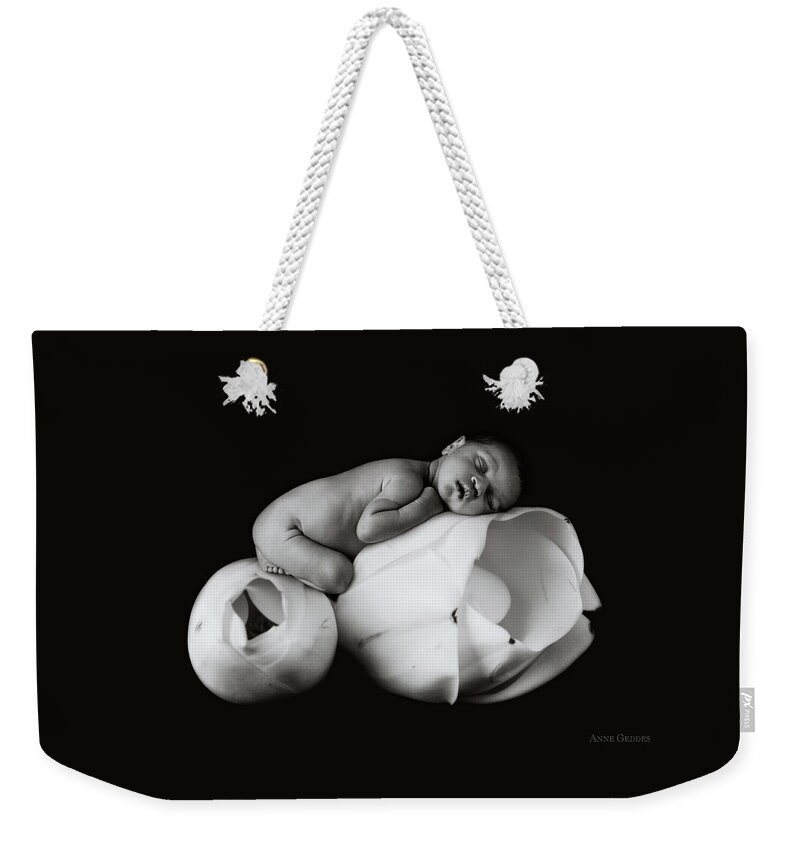 Magnolia Weekender Tote Bag featuring the photograph Robert on a Magnolia Bud by Anne Geddes