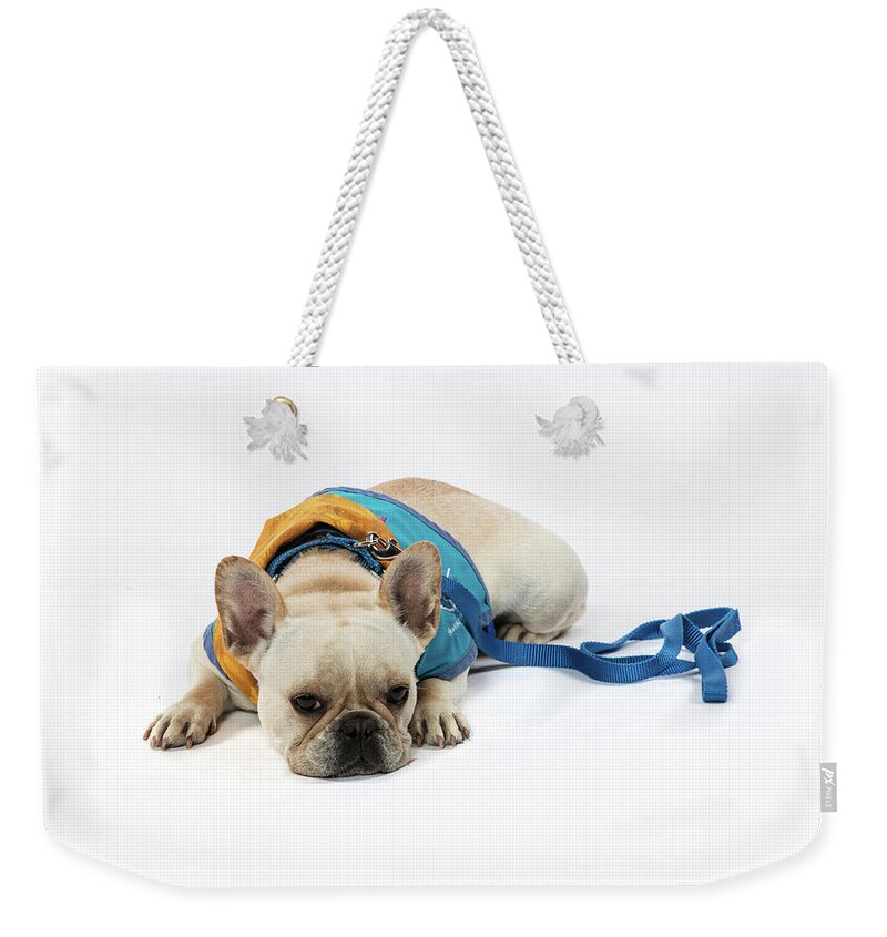 Therapet Weekender Tote Bag featuring the photograph 3010.066 Therapet #3010066 by M K Miller