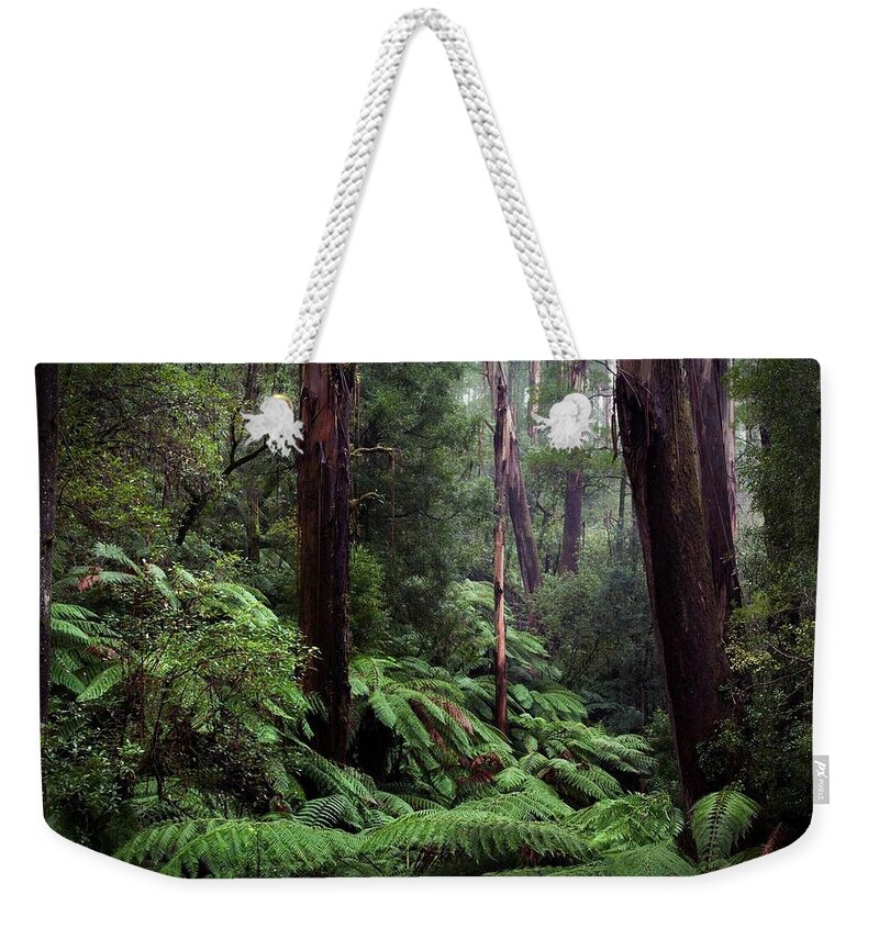 Forest Weekender Tote Bag featuring the photograph Forest #32 by Jackie Russo