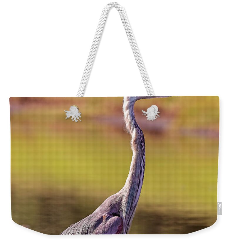 Animal Weekender Tote Bag featuring the photograph Blue Heron #35 by Peter Lakomy