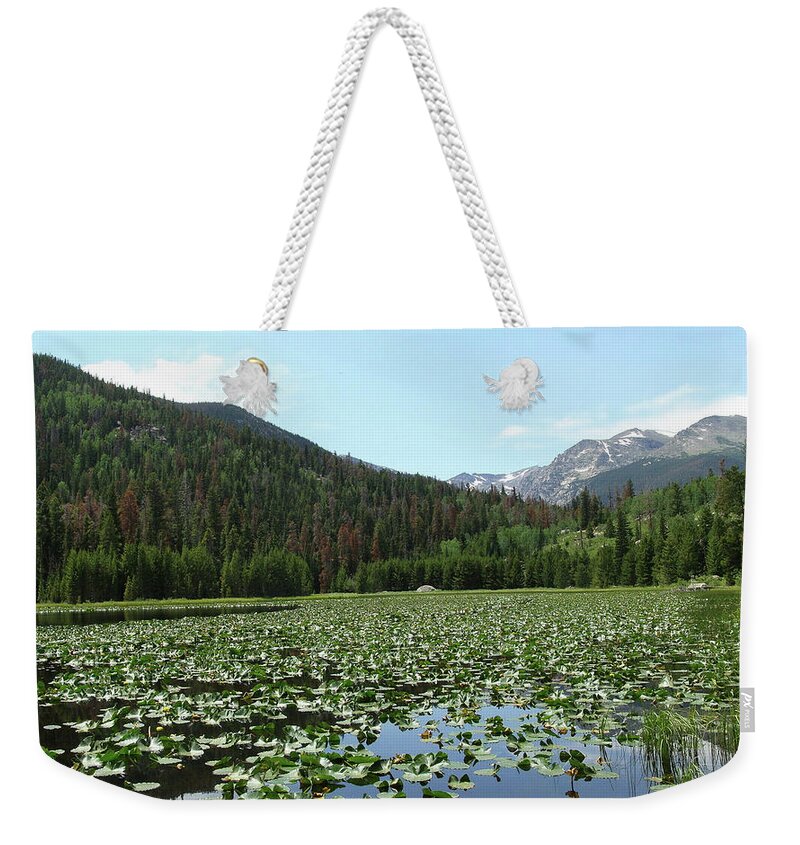Lake Weekender Tote Bag featuring the digital art Lake #35 by Super Lovely