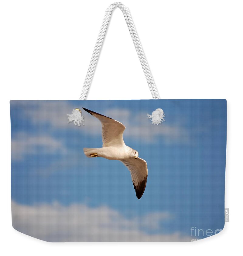 Seagull Weekender Tote Bag featuring the photograph 36- Seagull by Joseph Keane