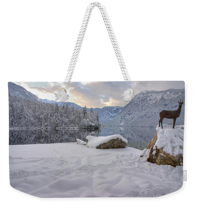 Beautiful Weekender Tote Bag featuring the photograph Alpine winter reflections #4 by Ian Middleton