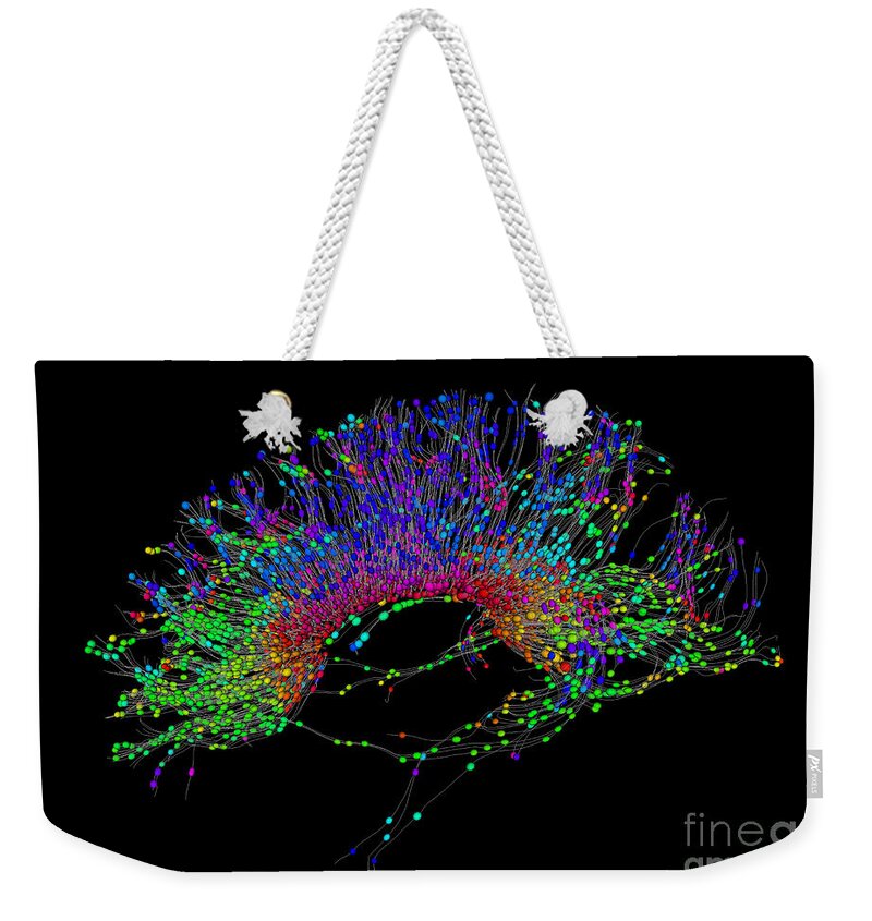 Mri Weekender Tote Bag featuring the photograph Brain, Fiber Tractography Image #4 by Scott Camazine