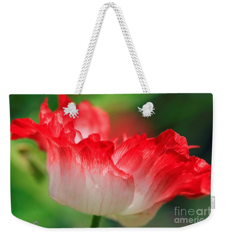 Mccombie Weekender Tote Bag featuring the photograph Double Red and White Poppy from the Garden Gnome Mix #2 by J McCombie