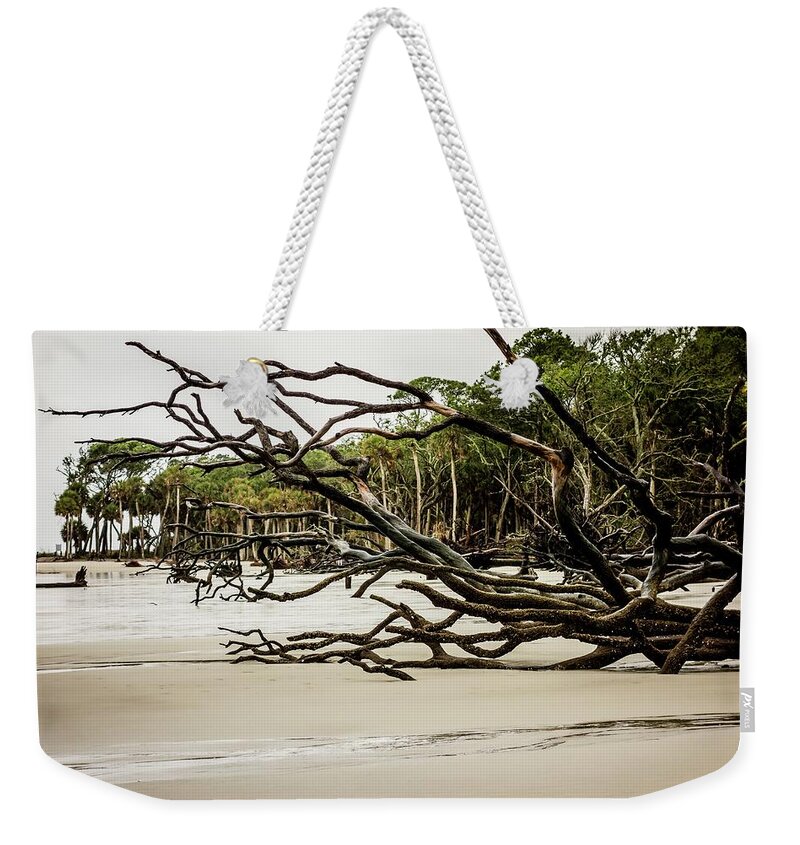 Drift Wood Weekender Tote Bag featuring the photograph Drift Wood On Hunting Island South Carolina #4 by Alex Grichenko