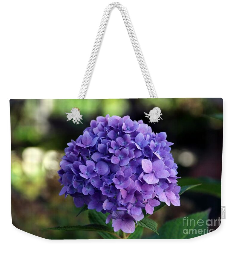 Hydrangea Weekender Tote Bag featuring the photograph Hydrangea by Yumi Johnson