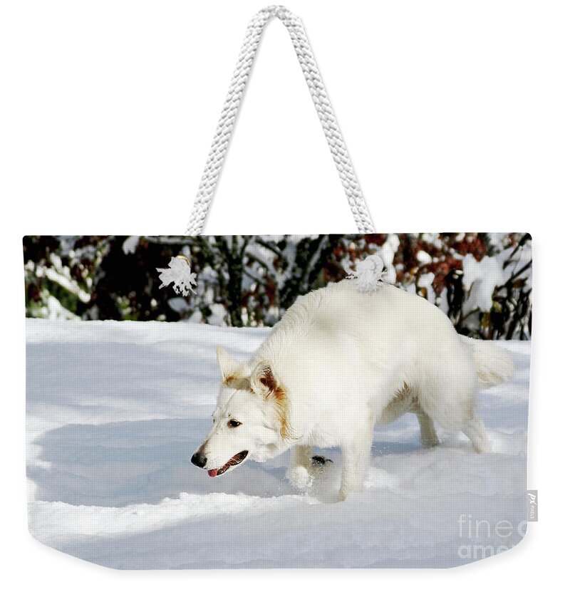  Weekender Tote Bag featuring the photograph Jane #4 by Margaret Hood